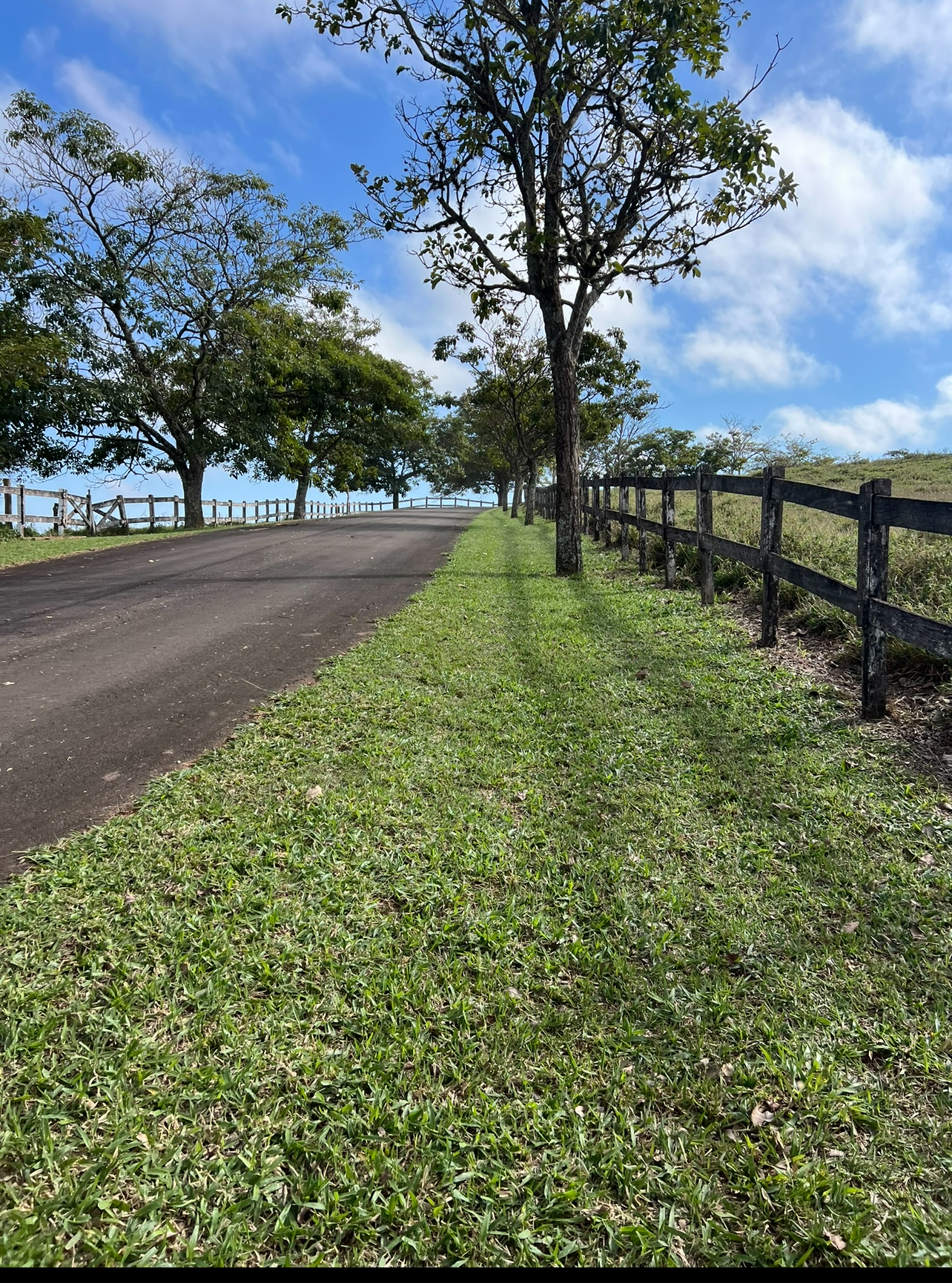 Área verde após a manutenção mensal na Fazenda São Jorge