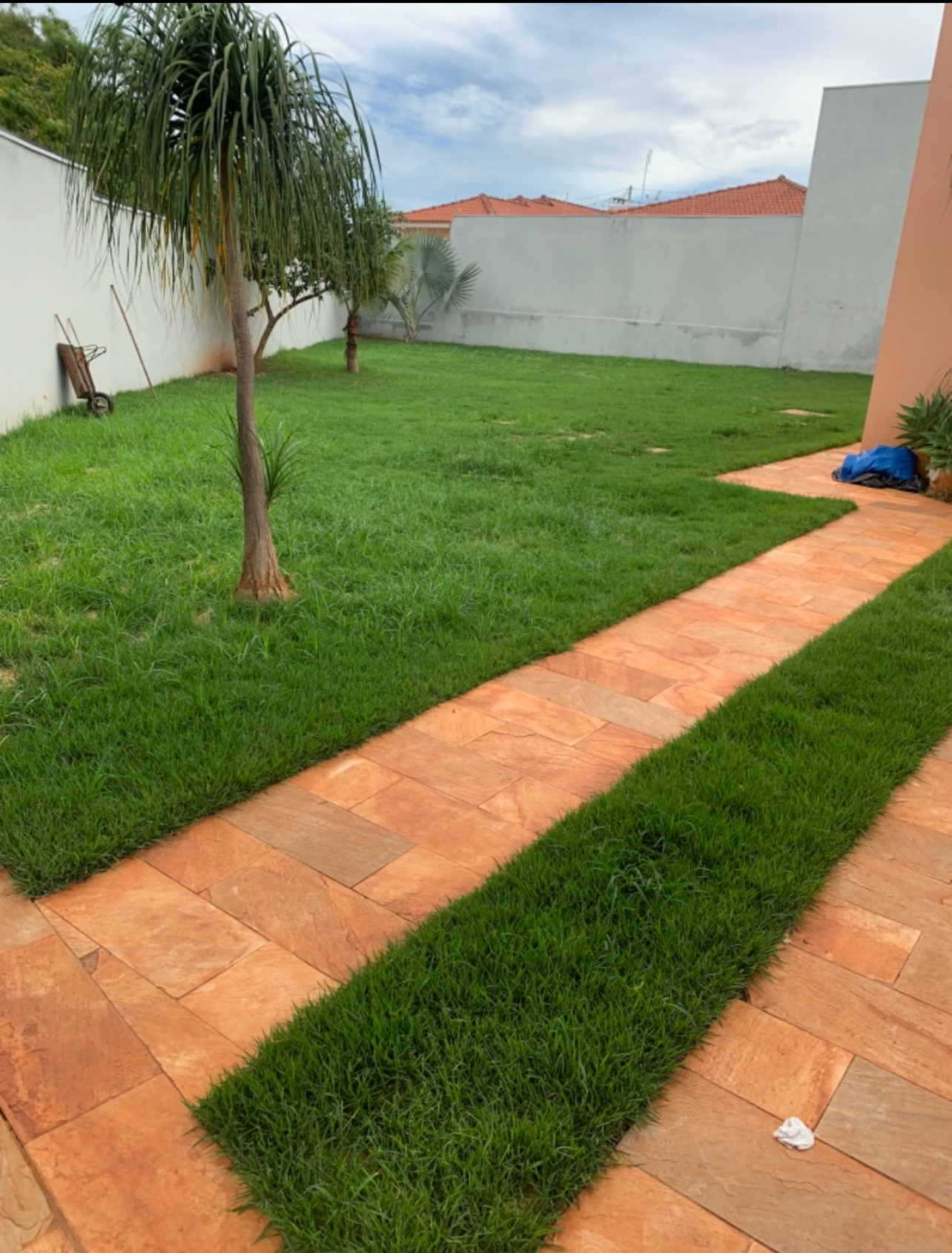 Gramado recuperado após o tratamento e nivelamento em Ibitinga