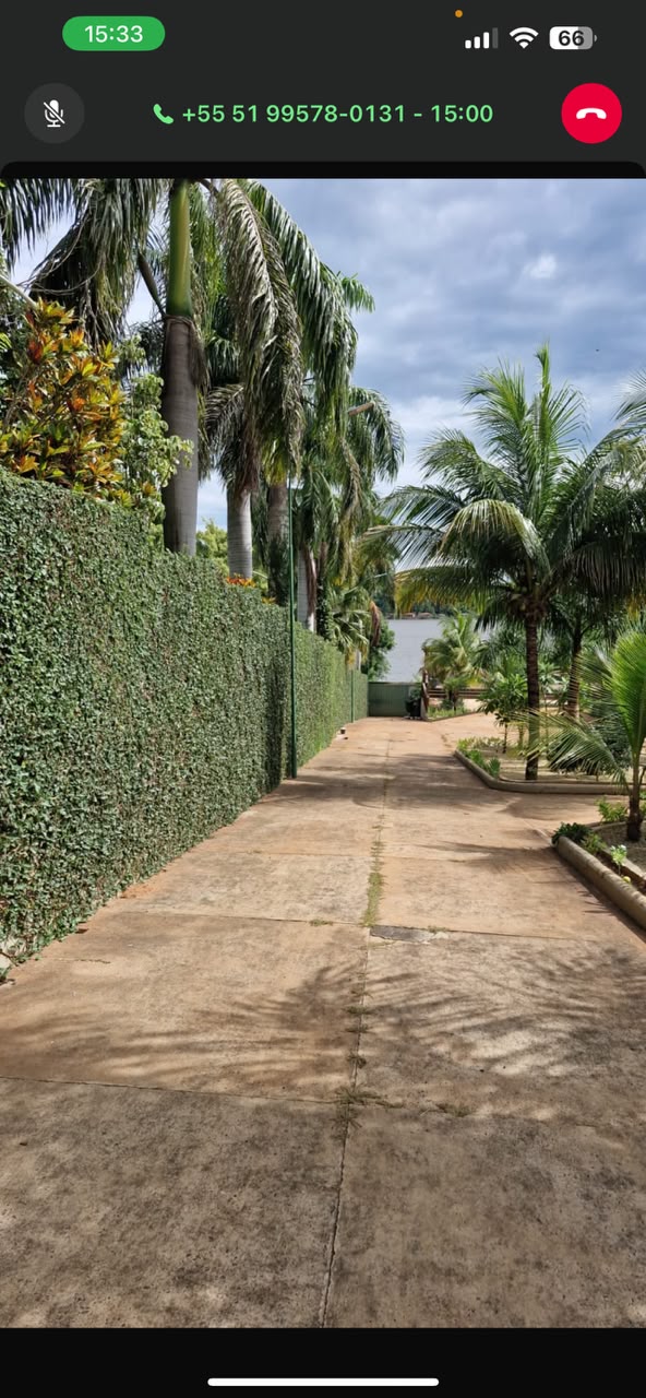 Alameda tropical com palmeiras e cerca-viva