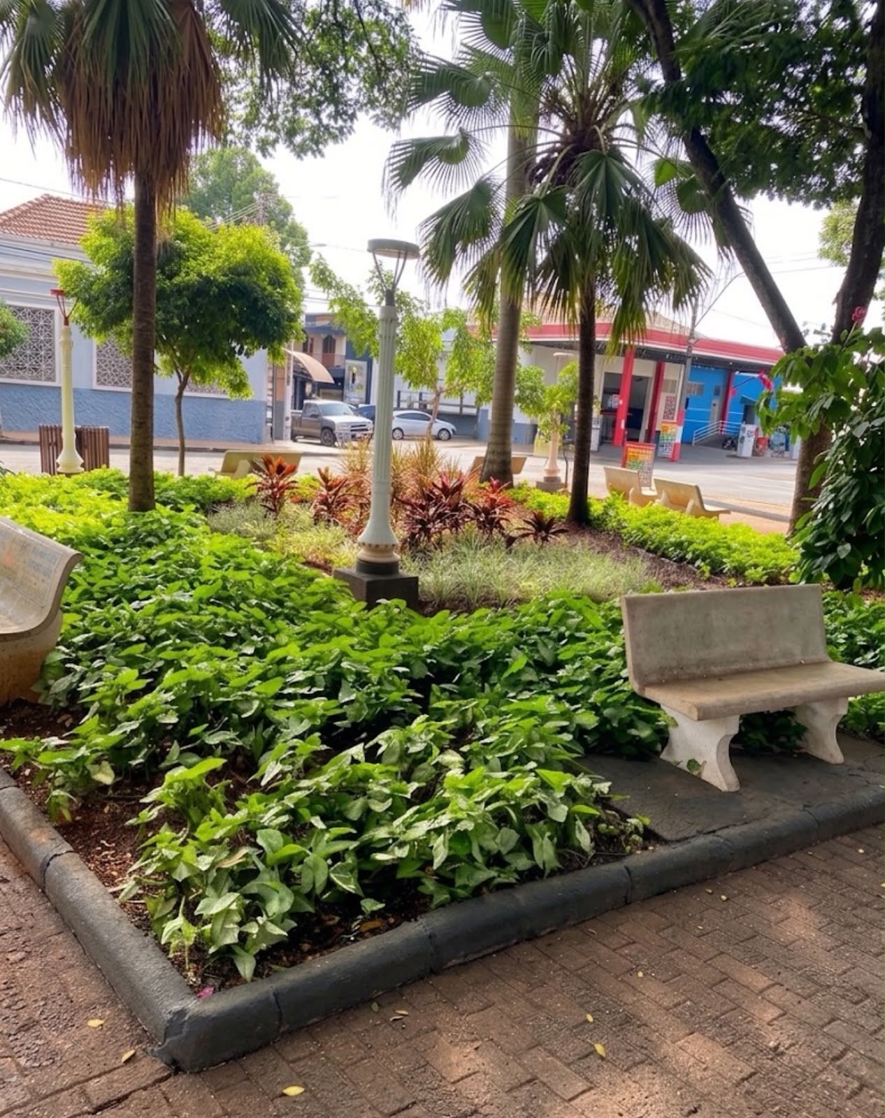 Jardim de praça com palmeiras, canteiros e bancos bem cuidados