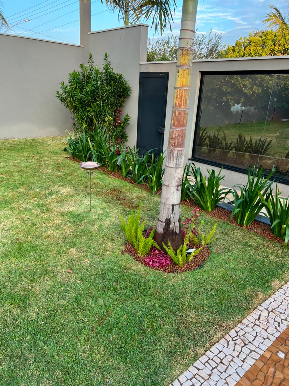 Jardim residencial com palmeira e canteiros cuidados pela Good Garden